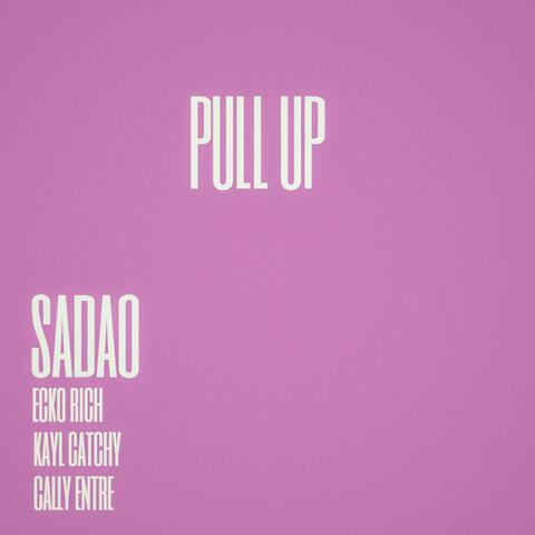 PULL UP (feat. ECKO RICH, KAYL CATCHY & CALLY ENTRE)