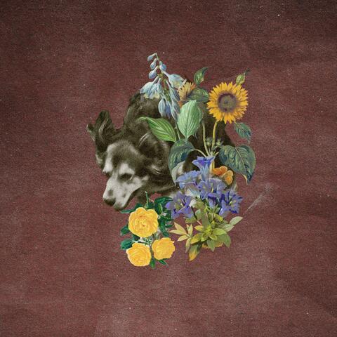 The Dogs