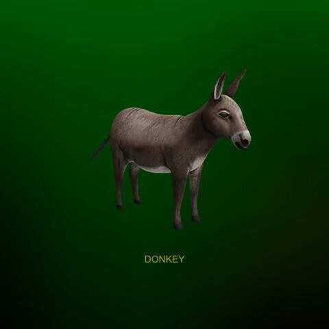 Donkey