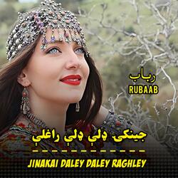 جينکۍ ډلې ډلې راغلې پښتو رباب |Jinki dali dali raghli Pashto rabab | پشتو رباب