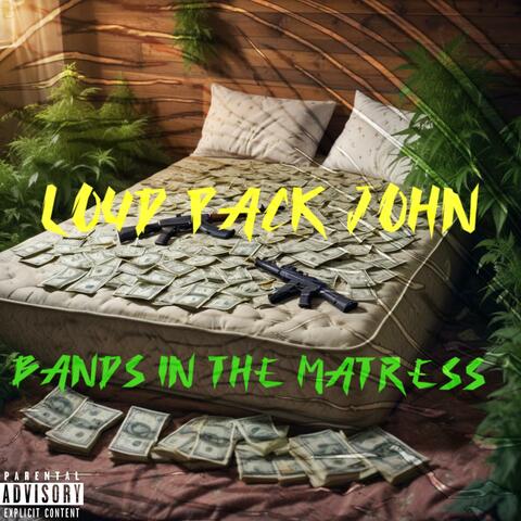 BANDS IN THE MATRESS