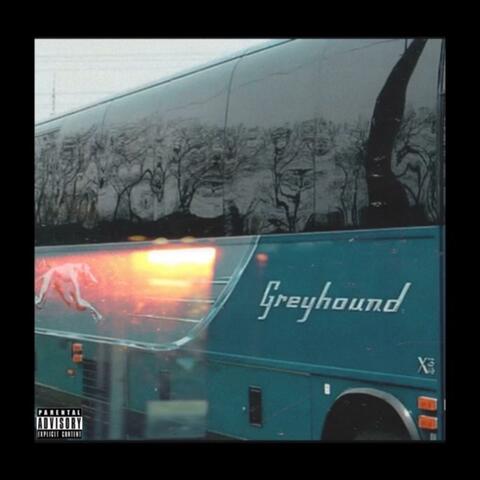 Bak On Da GreyHound