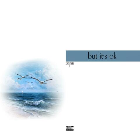 But It's Ok