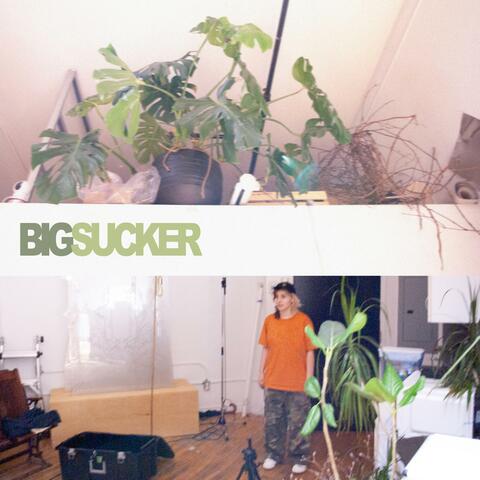 BIG SUCKER