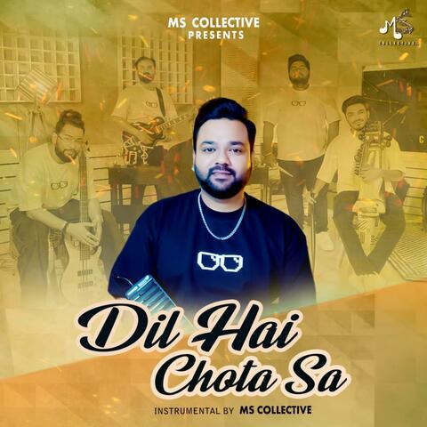 Dil Hai Chota Sa (feat. MS Collective) [Instrumental]