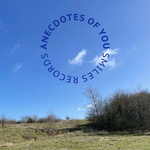 Anecdotes of You