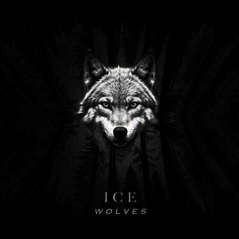 Ice