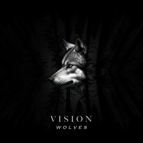 Vision