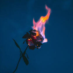 Chcem ten svet vidieť horieť