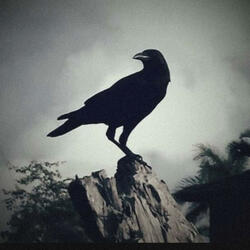 Mournful Morning
