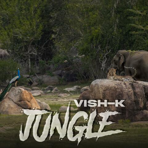 Jungle