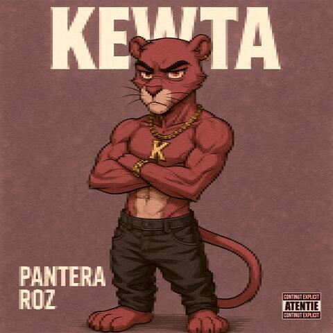 Pantera Roz (feat. fabi, raswen, spacexsoph, spadasinu, gabitzuu & xyzdannyxyz)