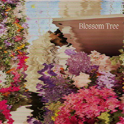 Blossom Tree