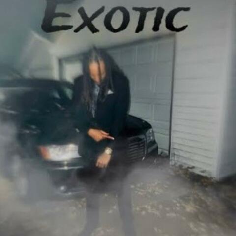 EXOTIC
