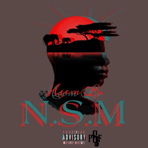 No Stopping Me (N.S.M)