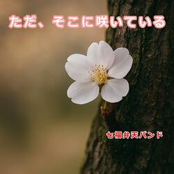 ただ、そこに咲いている