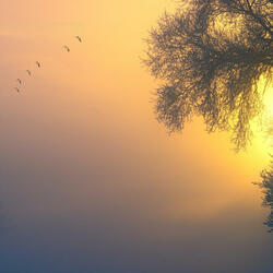 Golden Hour