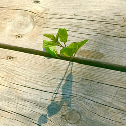 Biết mình chưa biết