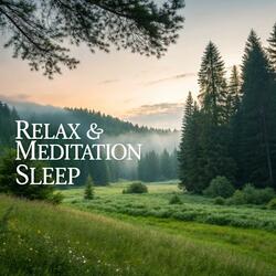Deep Sleep Serenity
