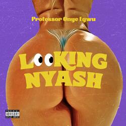 Looking Nyash