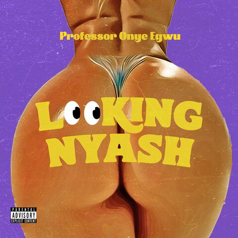 Looking Nyash