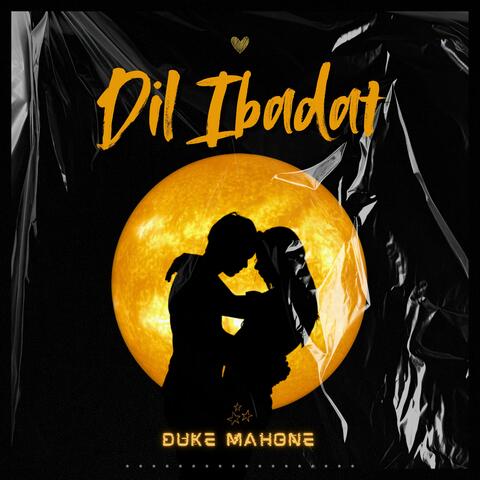 Dil Ibaadat (Slowed)