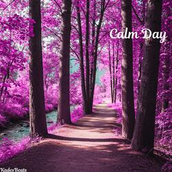 Calm Day (Melodic Guitar R&B/Hip-Hop Instrumental)