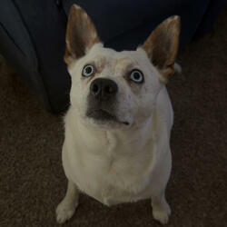 Abyss (feat. Deathtosno)