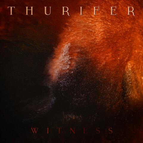 Witness