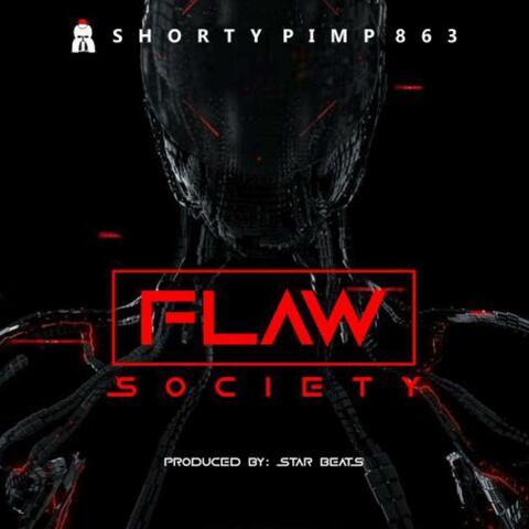 Flaw Society
