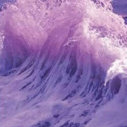 CATCH A WAVE