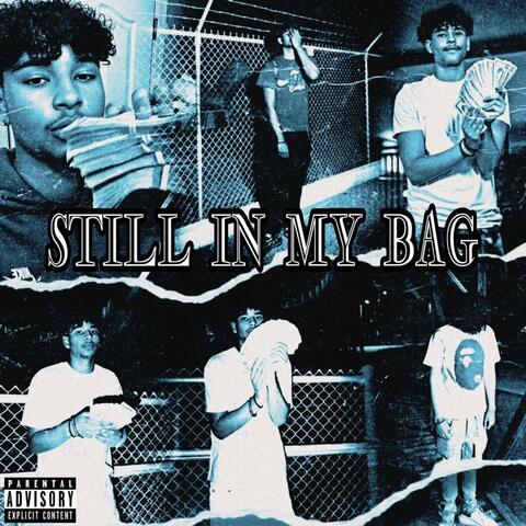 Still in by Bag