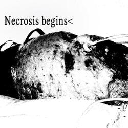 Necrosis begins