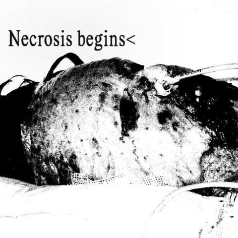 Necrosis begins