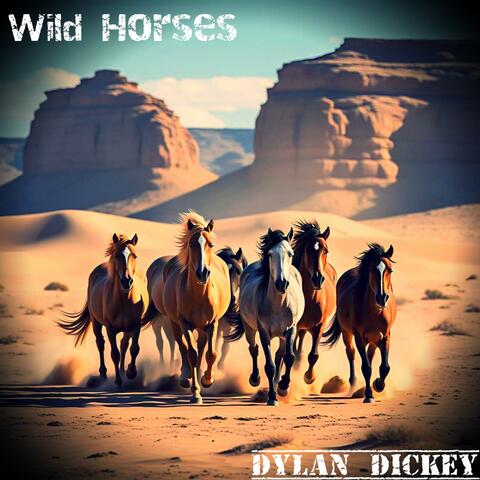 Wild Horses