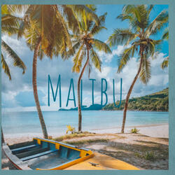 Malibu (feat. ManLikeVeer)