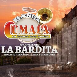 La Bardita