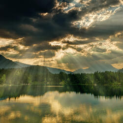 Man With Nail Scarred Hands