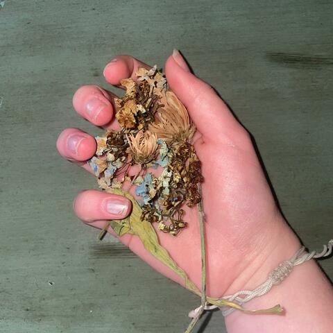 Dried flowers