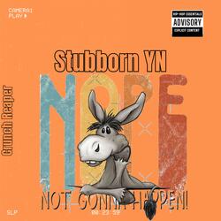 Stubborn YN