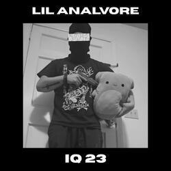 IQ 23