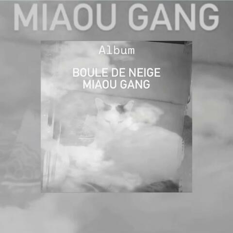 Miaou gang