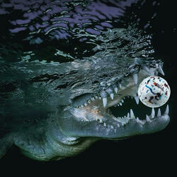 Jaw Breaker