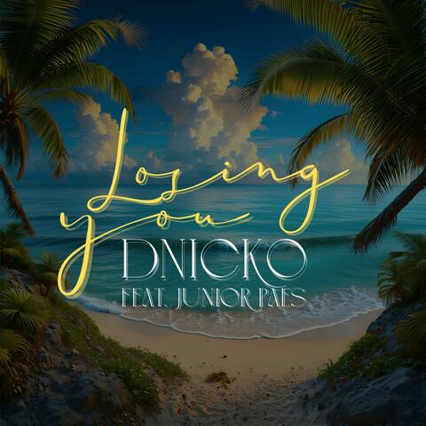 Losing You (feat. Junior Paes)