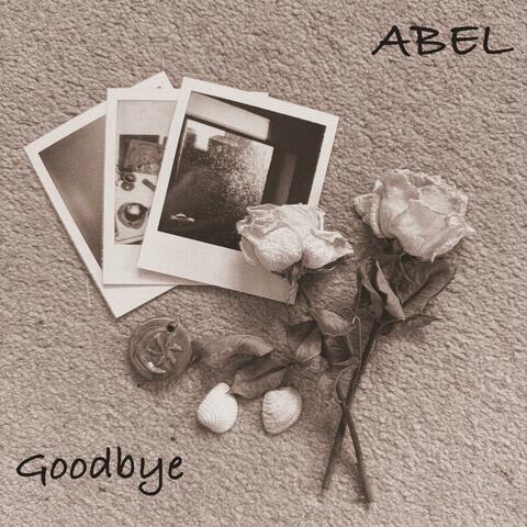 Goodbye