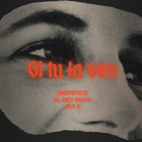 Si tu la ves (feat. 100tifico)