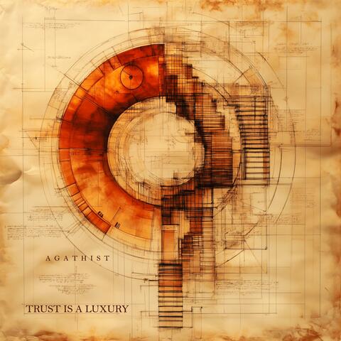 Trust Is A Luxury