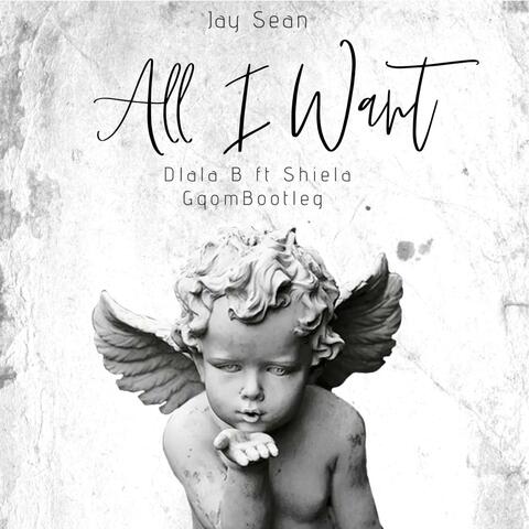 All I Want (feat. Shiela) [GqomBootleg]