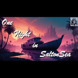 LS28 in One Night in SaltonSea