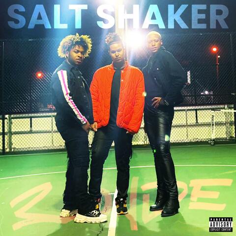Salt Shaker
